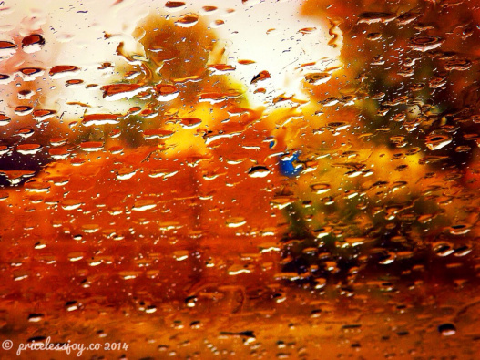 raindrops FFfAW Sept 8