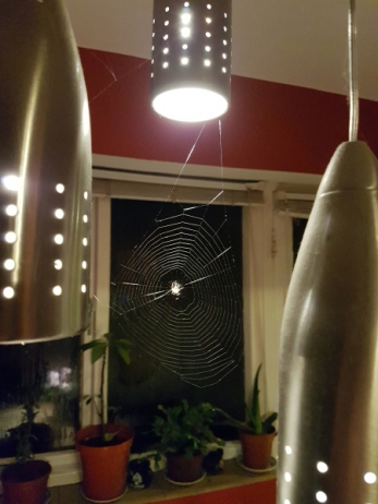 FF.sarahs-spider-web-potter